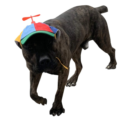 Dog Hats With Funny Propeller（Removable）